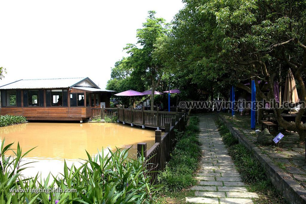 YTS_YTS_20190526_新北五股旗竿湖農場／紫雲農場／步道／福祐宮New Taipei Wugu Qigan Lake Farm024_539A5616.jpg