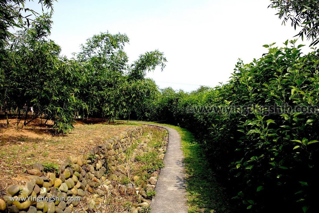 YTS_YTS_20190526_新北五股旗竿湖農場／紫雲農場／步道／福祐宮New Taipei Wugu Qigan Lake Farm045_539A5666.jpg