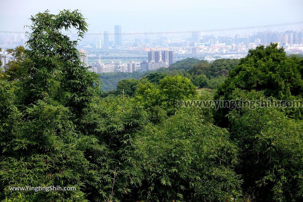 YTS_YTS_20190526_新北五股旗竿湖農場／紫雲農場／步道／福祐宮New Taipei Wugu Qigan Lake Farm068_539A5712.jpg