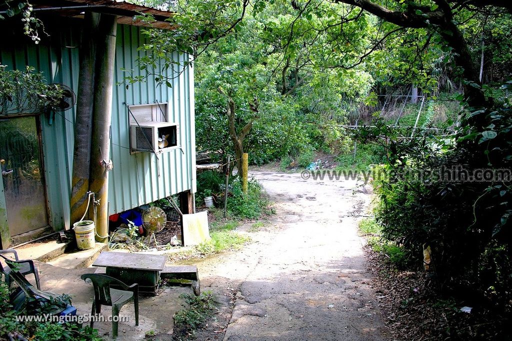 YTS_YTS_20190526_新北五股旗竿湖農場／紫雲農場／步道／福祐宮New Taipei Wugu Qigan Lake Farm079_539A5767.jpg