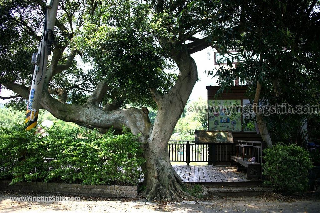 YTS_YTS_20190526_新北五股旗竿湖農場／紫雲農場／步道／福祐宮New Taipei Wugu Qigan Lake Farm091_539A5584.jpg