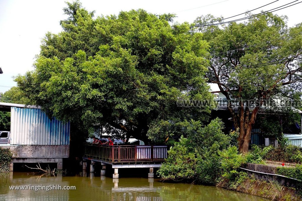 YTS_YTS_20190526_新北五股旗竿湖農場／紫雲農場／步道／福祐宮New Taipei Wugu Qigan Lake Farm087_539A5824.jpg