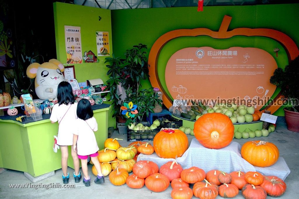 YTS_YTS_20190525_宜蘭壯圍旺山休閒農場／主題南瓜園Yilan Zhuangwei Pumpkin Farm012_539A4437.jpg