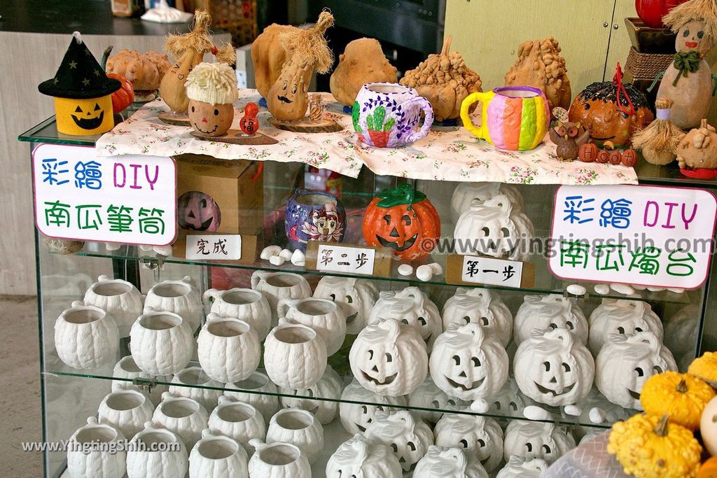 YTS_YTS_20190525_宜蘭壯圍旺山休閒農場／主題南瓜園Yilan Zhuangwei Pumpkin Farm024_539A4451.jpg