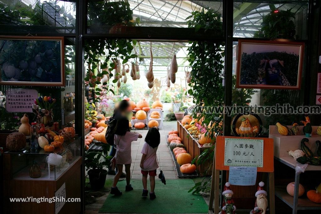 YTS_YTS_20190525_宜蘭壯圍旺山休閒農場／主題南瓜園Yilan Zhuangwei Pumpkin Farm029_539A4454.jpg