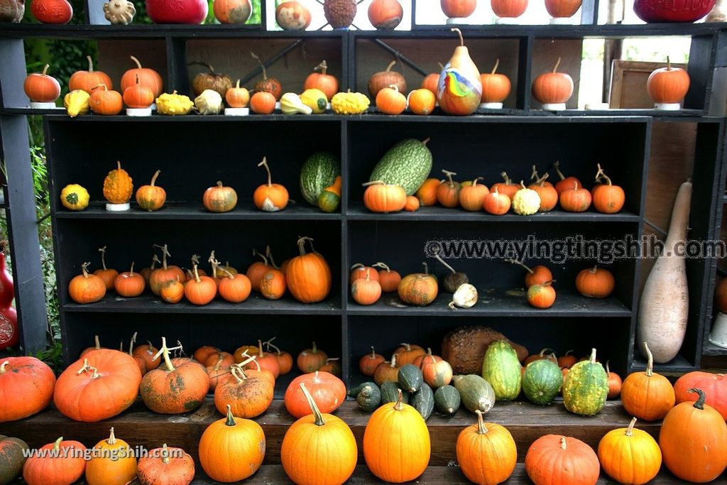 YTS_YTS_20190525_宜蘭壯圍旺山休閒農場／主題南瓜園Yilan Zhuangwei Pumpkin Farm034_539A4459.jpg