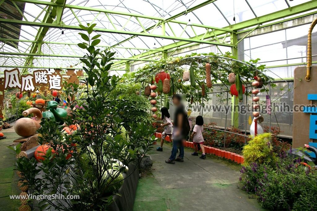 YTS_YTS_20190525_宜蘭壯圍旺山休閒農場／主題南瓜園Yilan Zhuangwei Pumpkin Farm041_539A4466.jpg