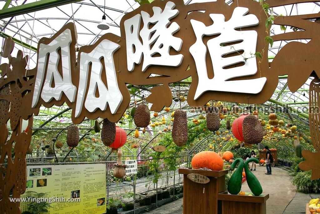 YTS_YTS_20190525_宜蘭壯圍旺山休閒農場／主題南瓜園Yilan Zhuangwei Pumpkin Farm052_539A4478.jpg