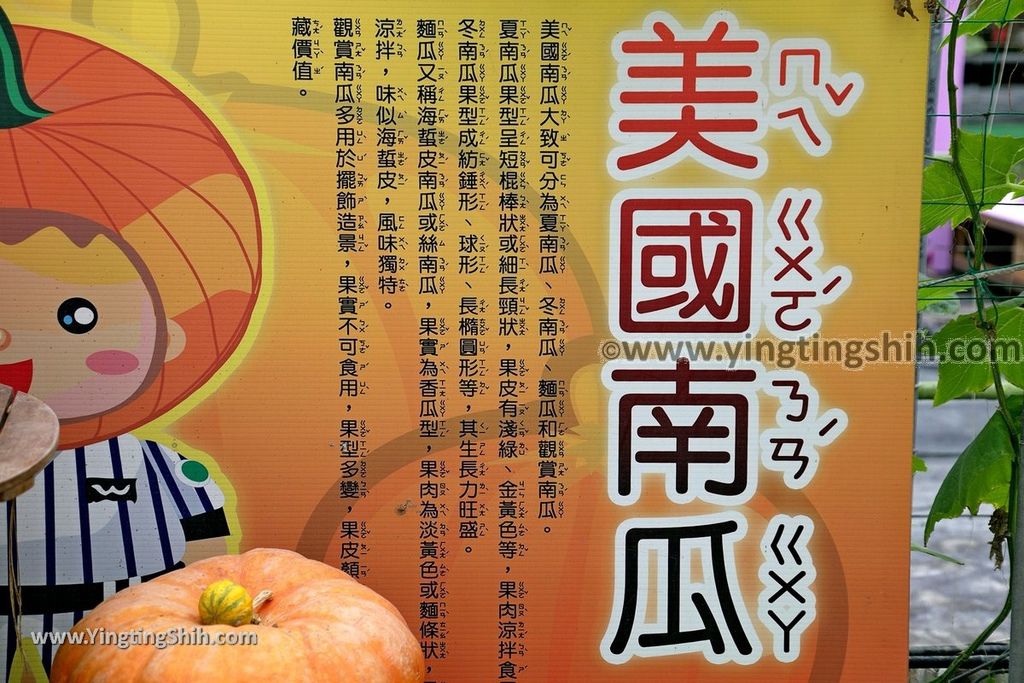 YTS_YTS_20190525_宜蘭壯圍旺山休閒農場／主題南瓜園Yilan Zhuangwei Pumpkin Farm061_539A4487.jpg