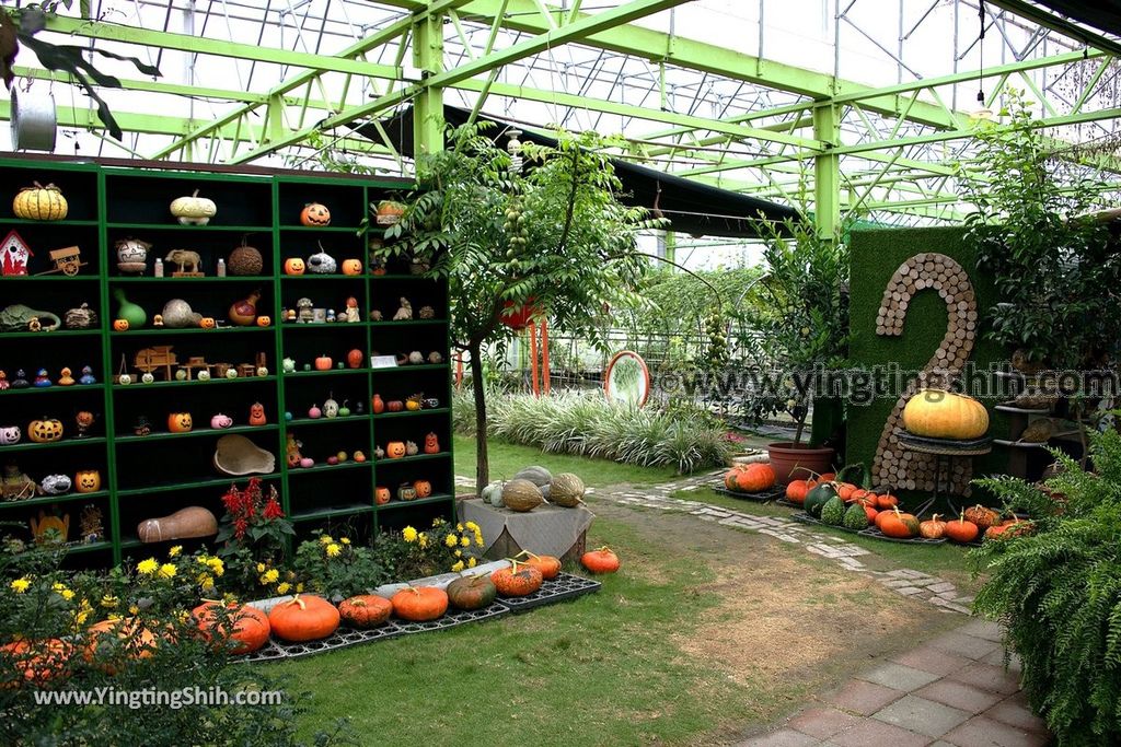 YTS_YTS_20190525_宜蘭壯圍旺山休閒農場／主題南瓜園Yilan Zhuangwei Pumpkin Farm067_539A4501.jpg