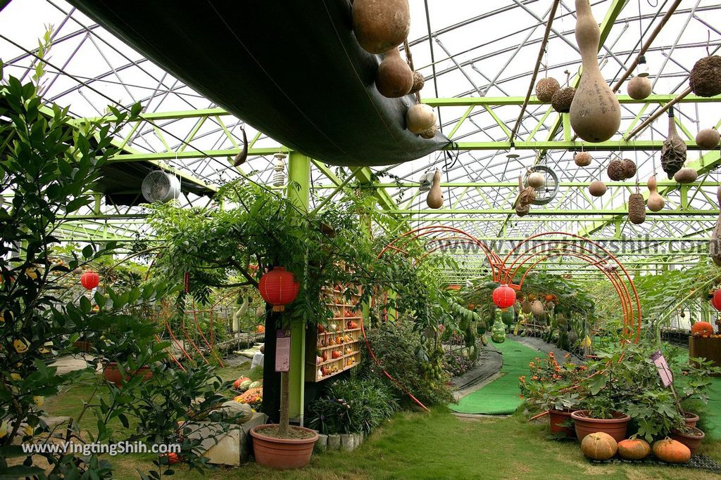 YTS_YTS_20190525_宜蘭壯圍旺山休閒農場／主題南瓜園Yilan Zhuangwei Pumpkin Farm095_539A4529.jpg