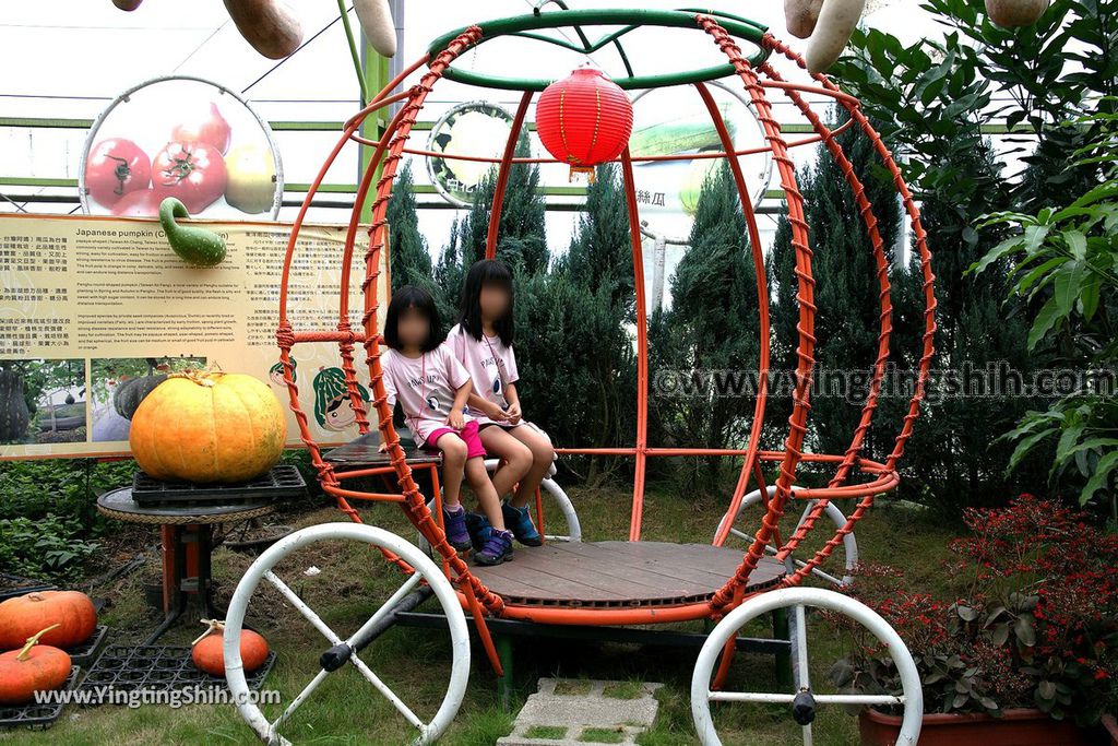 YTS_YTS_20190525_宜蘭壯圍旺山休閒農場／主題南瓜園Yilan Zhuangwei Pumpkin Farm094_539A4537.jpg