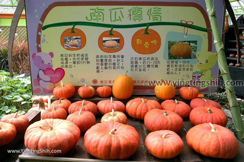 YTS_YTS_20190525_宜蘭壯圍旺山休閒農場／主題南瓜園Yilan Zhuangwei Pumpkin Farm117_539A4561.jpg