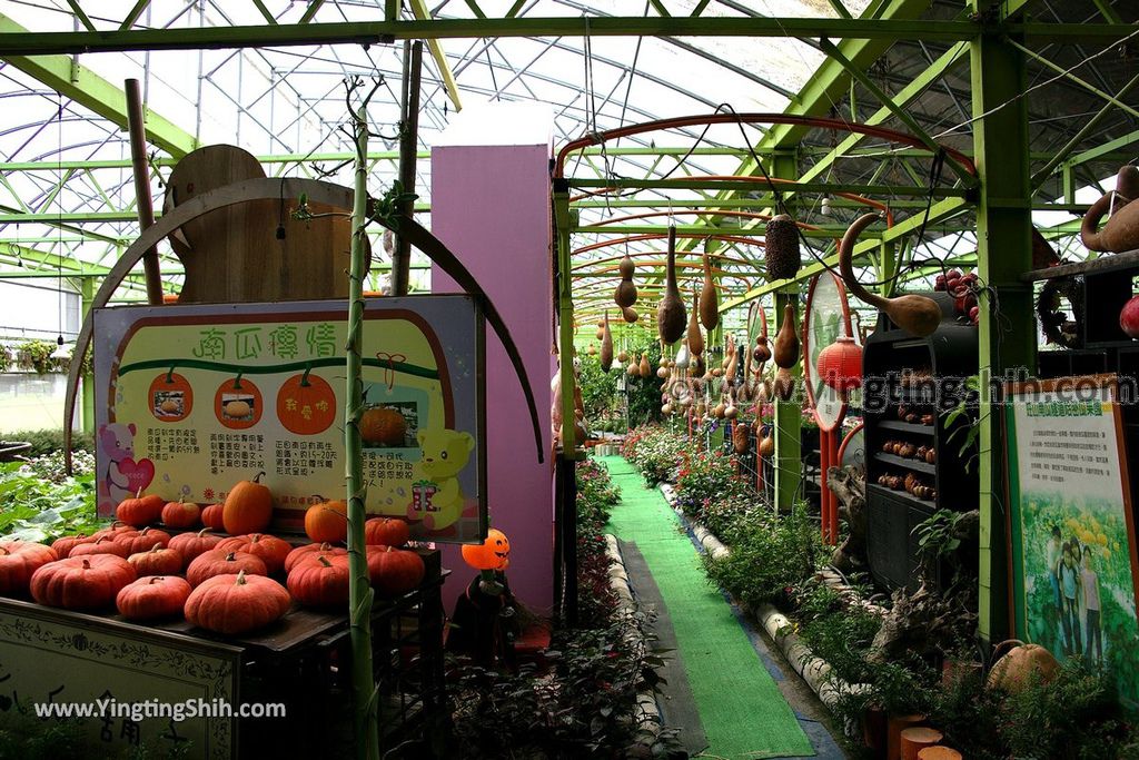 YTS_YTS_20190525_宜蘭壯圍旺山休閒農場／主題南瓜園Yilan Zhuangwei Pumpkin Farm116_539A4560.jpg