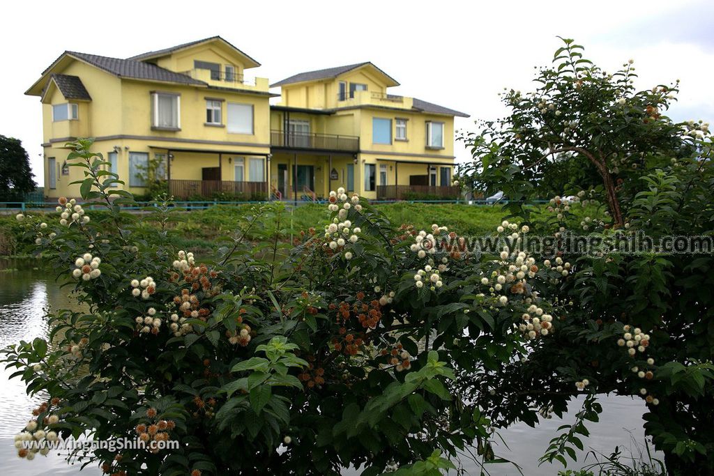 YTS_YTS_20190525_宜蘭五結五十二甲溼地Yilan Wujie Wushierjia Wetlands009_539A3690.jpg