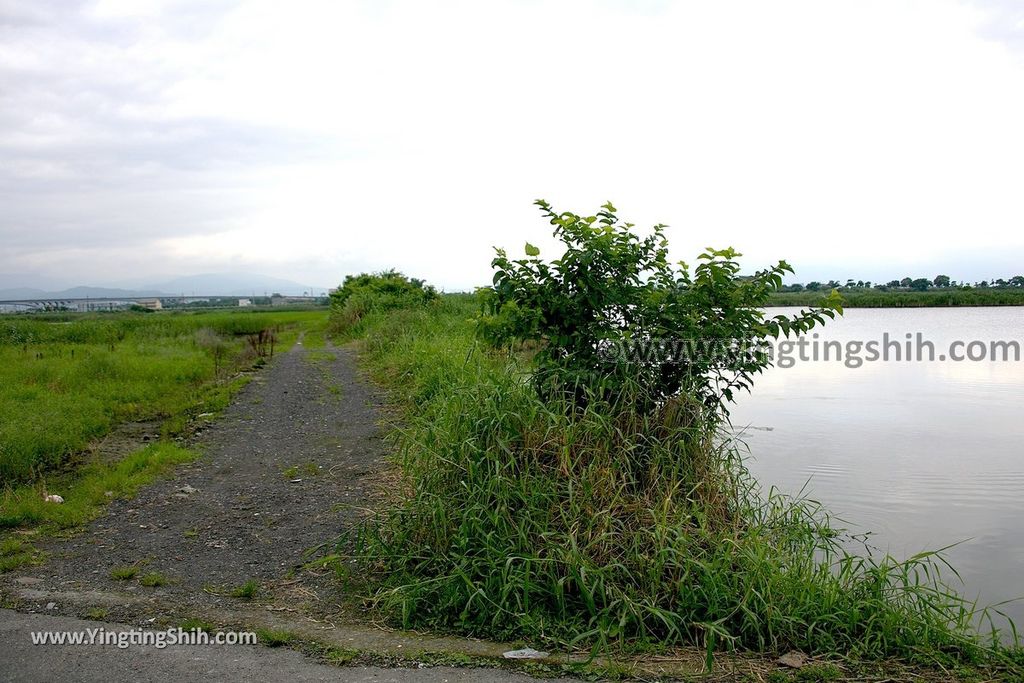 YTS_YTS_20190525_宜蘭五結五十二甲溼地Yilan Wujie Wushierjia Wetlands021_539A3651.jpg