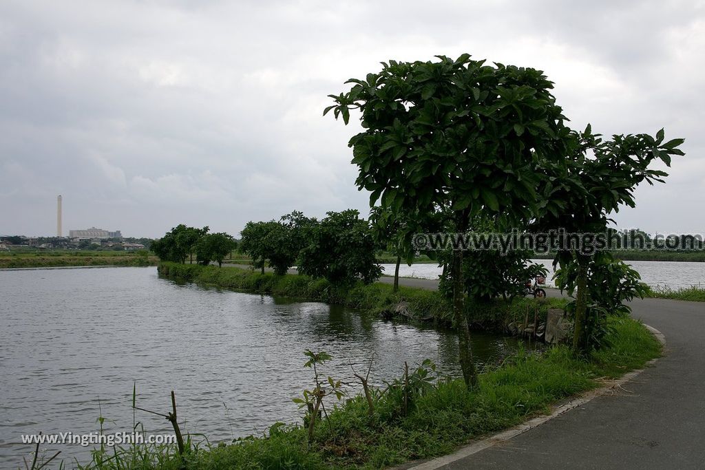 YTS_YTS_20190525_宜蘭五結五十二甲溼地Yilan Wujie Wushierjia Wetlands026_539A3716.jpg