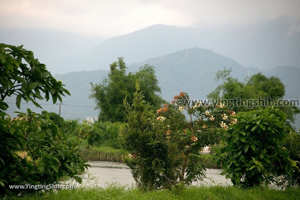 YTS_YTS_20190525_宜蘭五結五十二甲溼地Yilan Wujie Wushierjia Wetlands030_539A3710.jpg