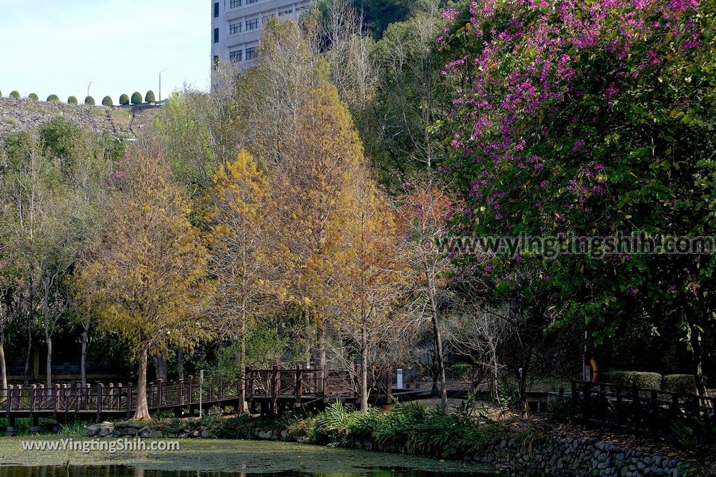 YTS_YTS_20190217_南投水里車埕木業展示館／林班道Nantou Shuili Checheng Wood Exhibition Hall076_539A2755.jpg