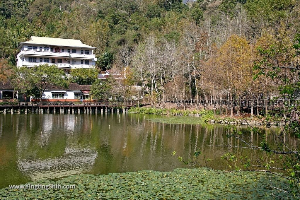 YTS_YTS_20190217_南投水里車埕木業展示館／林班道Nantou Shuili Checheng Wood Exhibition Hall080_539A2791.jpg