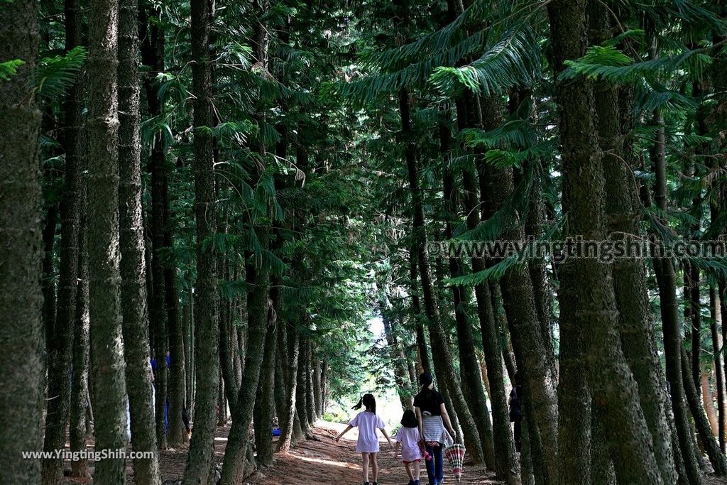 YTS_YTS_20190609_台中沙鹿九天黑森林Taichung Shalu Black Forest039_539A9595.jpg