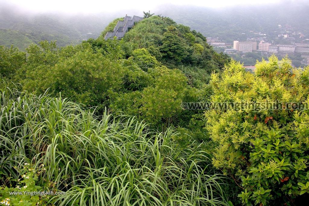 YTS_YTS_20190601_新北瑞芳金瓜石勸濟堂／報時山步道New Taipei Ruifang Chuen Ji Hall／Mount Boushi Trail137_539A6217.jpg