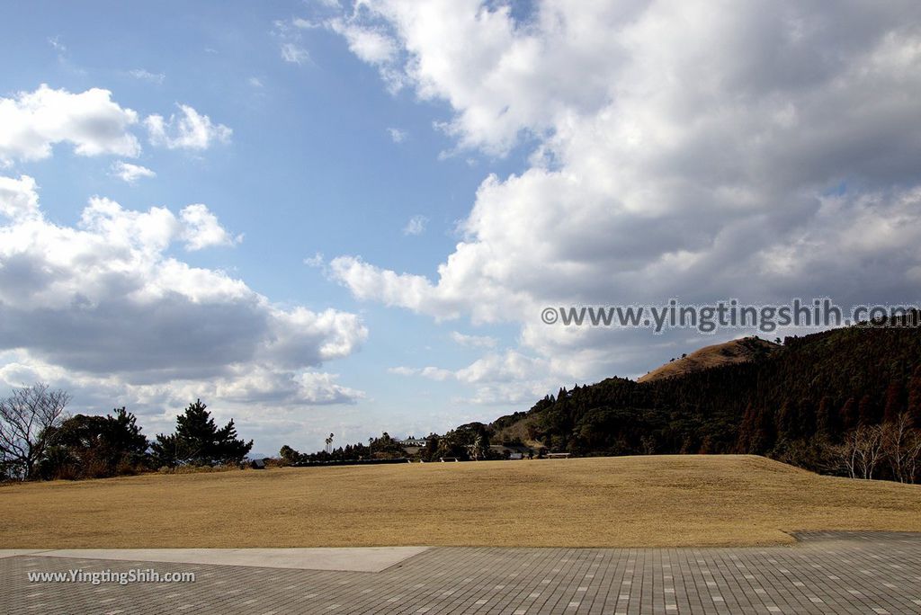 YTS_YTS_20190128_ 日本九州宮崎串間御崎神社／蘇鐵自生地／都井岬遊客中心Japan Kyushu Miyazaki Kushima Misaki Shrine004_3A5A6397.jpg