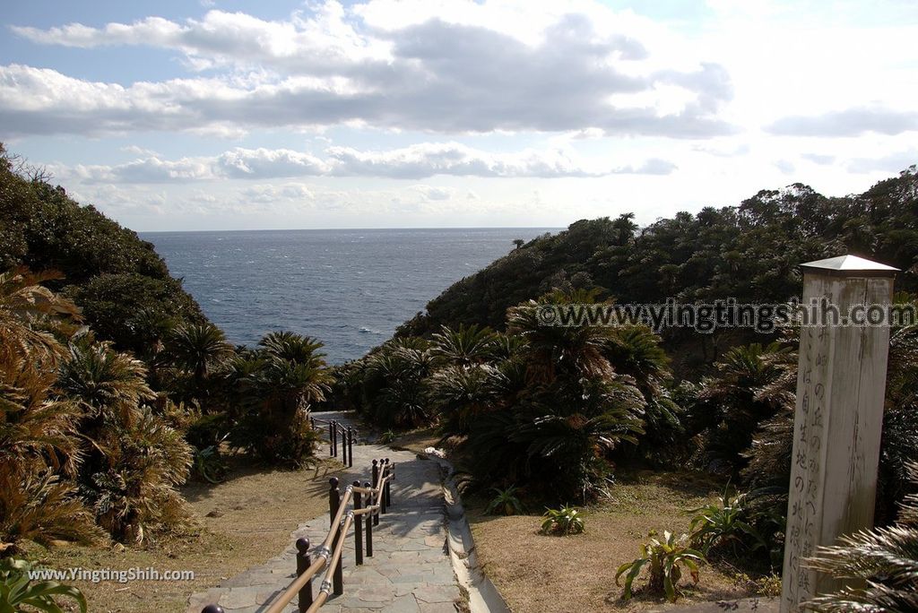 YTS_YTS_20190128_ 日本九州宮崎串間御崎神社／蘇鐵自生地／都井岬遊客中心Japan Kyushu Miyazaki Kushima Misaki Shrine020_3A5A6511.jpg