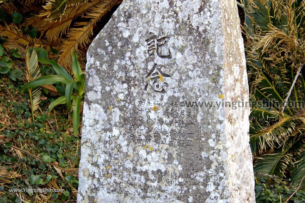 YTS_YTS_20190128_ 日本九州宮崎串間御崎神社／蘇鐵自生地／都井岬遊客中心Japan Kyushu Miyazaki Kushima Misaki Shrine034_3A5A6575.jpg