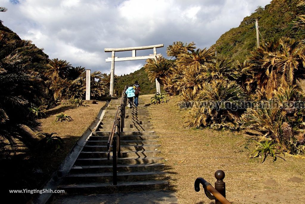 YTS_YTS_20190128_ 日本九州宮崎串間御崎神社／蘇鐵自生地／都井岬遊客中心Japan Kyushu Miyazaki Kushima Misaki Shrine063_3A5A6788.jpg