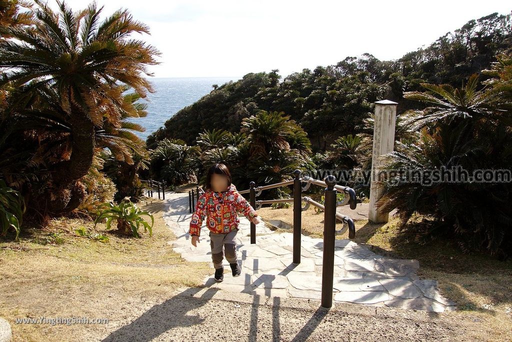 YTS_YTS_20190128_ 日本九州宮崎串間御崎神社／蘇鐵自生地／都井岬遊客中心Japan Kyushu Miyazaki Kushima Misaki Shrine064_3A5A6796.jpg