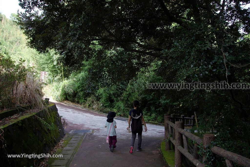 YTS_YTS_20180815_日本九州熊本靈巖洞／五百羅漢／雲巖禪寺／宮本武蔵Japan Kyushu Kumamoto Gohyakurakan／Unganji038_3A5A6314.jpg