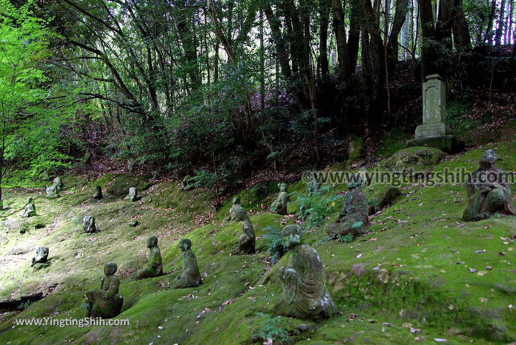 YTS_YTS_20180815_日本九州熊本靈巖洞／五百羅漢／雲巖禪寺／宮本武蔵Japan Kyushu Kumamoto Gohyakurakan／Unganji070_3A5A6505.jpg