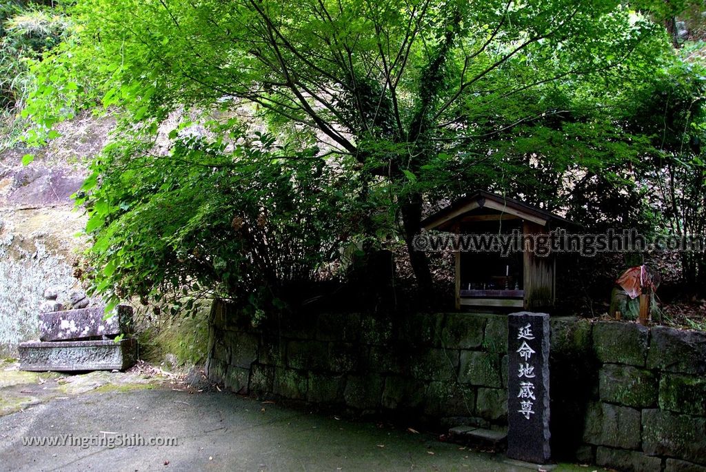 YTS_YTS_20180815_日本九州熊本靈巖洞／五百羅漢／雲巖禪寺／宮本武蔵Japan Kyushu Kumamoto Gohyakurakan／Unganji080_3A5A6647.jpg