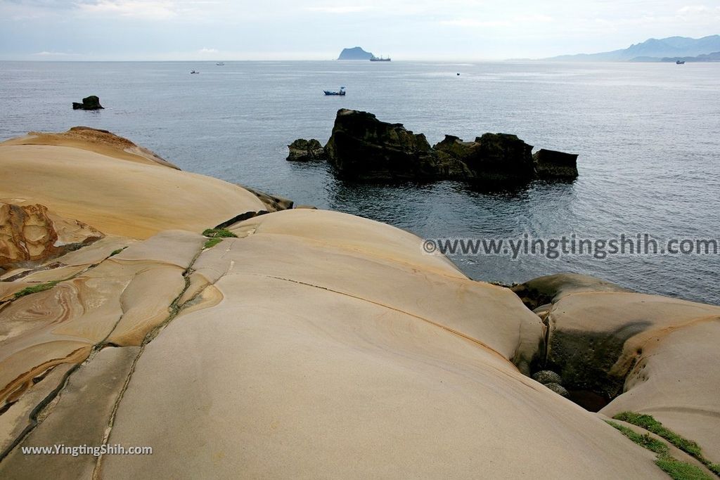 YTS_YTS_20190602_新北萬里駱駝峰／Micky Mouse／Hello Kitty／維納斯海岸／九孔池New Taipei Wanli Camel Mountain031_539A7371.jpg