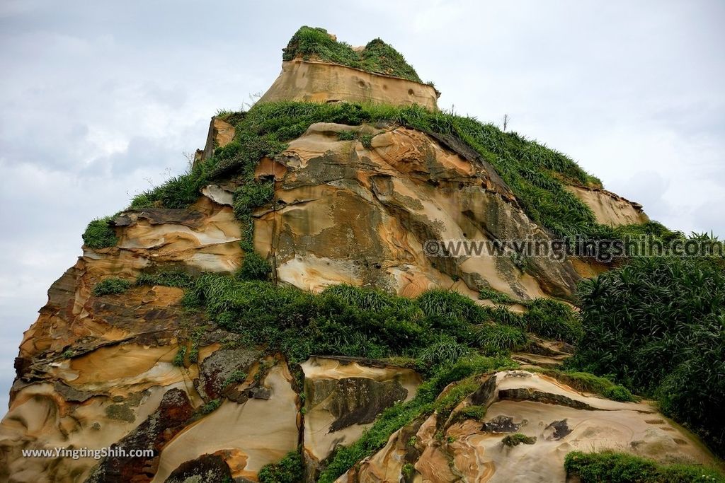 YTS_YTS_20190602_新北萬里駱駝峰／Micky Mouse／Hello Kitty／維納斯海岸／九孔池New Taipei Wanli Camel Mountain044_539A7360.jpg