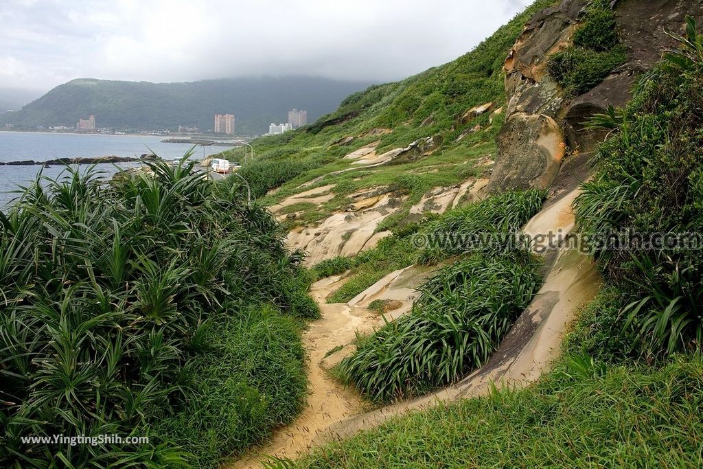 YTS_YTS_20190602_新北萬里駱駝峰／Micky Mouse／Hello Kitty／維納斯海岸／九孔池New Taipei Wanli Camel Mountain088_539A7980.jpg