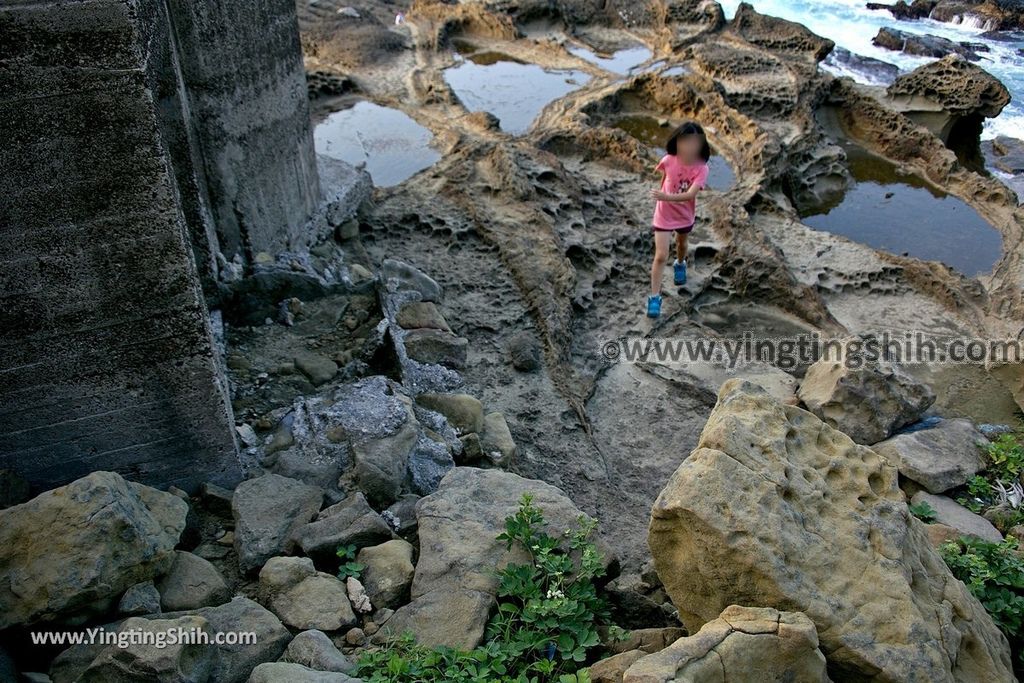 YTS_YTS_20190601_基隆中正海豹石／拳頭石／青蛙石／變形金鋼石／大坪海岸Keelung Zhongzheng Daping Shore050_539A0876.jpg