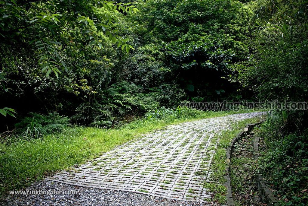 YTS_YTS_20190615_新北瑞芳金瓜石地質公園／巨石陣／三角飯糰岩New Taipei Ruifang Jinguashi Geopark016_539A0284.jpg