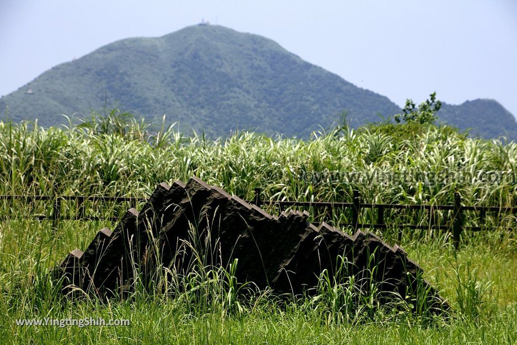 YTS_YTS_20190615_新北瑞芳金瓜石地質公園／巨石陣／三角飯糰岩New Taipei Ruifang Jinguashi Geopark026_539A0329.jpg