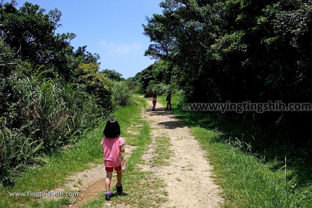 YTS_YTS_20190615_新北瑞芳金瓜石地質公園／巨石陣／三角飯糰岩New Taipei Ruifang Jinguashi Geopark031_539A0337.jpg