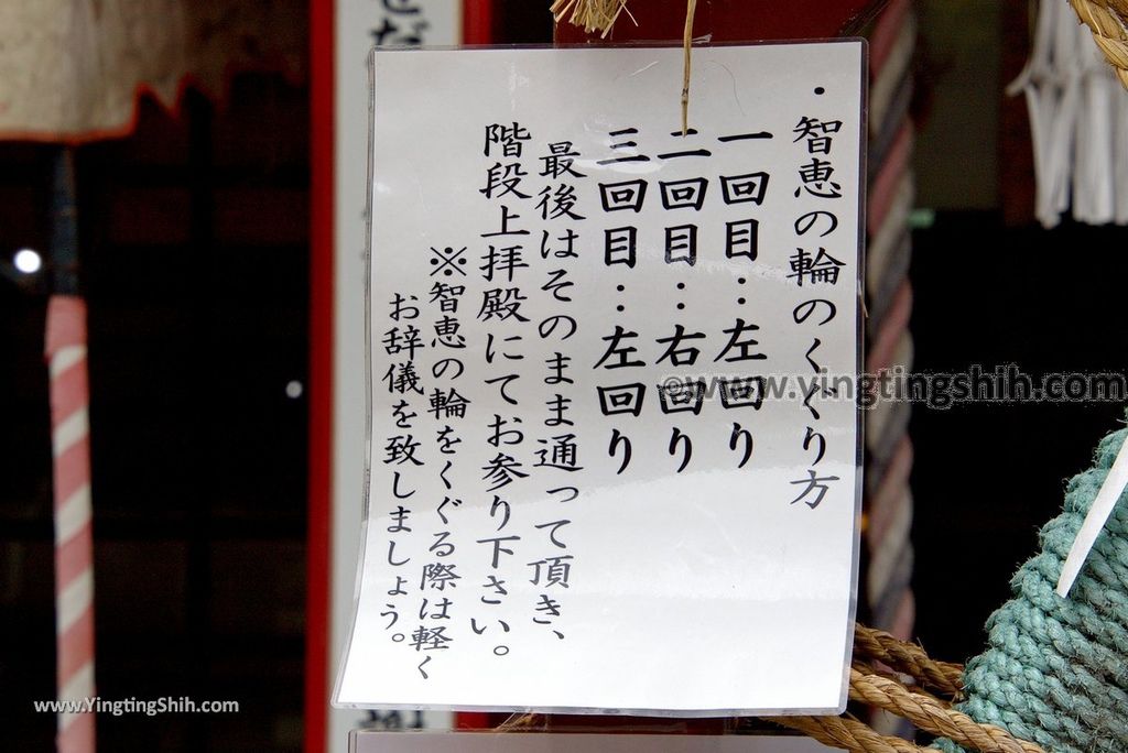 YTS_YTS_20180815_日本九州熊本熊本城稲荷神社Japan Kyushu Kumamoto Kumamotojoinari Shrine007_3A5A5526.jpg