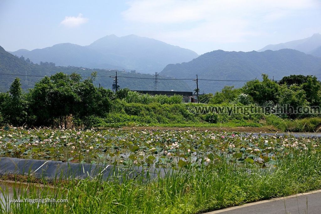 YTS_YTS_20190616_新北金山李芑豐古宅／蓮花田New Taipei Jinshan Li Qifeng Ancient House010_539A2182.jpg