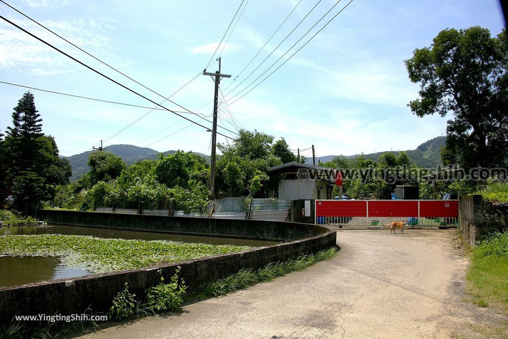 YTS_YTS_20190616_新北金山李芑豐古宅／蓮花田New Taipei Jinshan Li Qifeng Ancient House007_539A2179.jpg