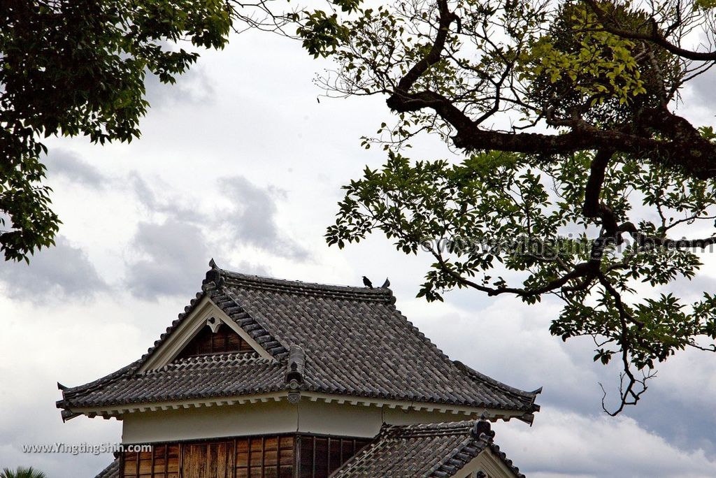 YTS_YTS_20180815_日本九州熊本城／加藤神社／加藤清正Japan Kyushu Kumamoto Kumamoto Castle／Kato Shrine029_3A5A4654.jpg