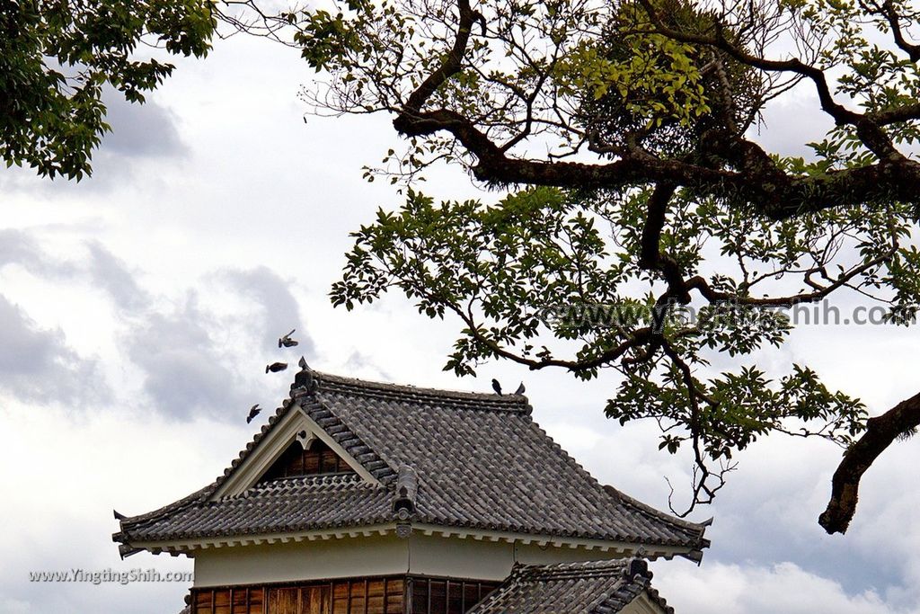 YTS_YTS_20180815_日本九州熊本城／加藤神社／加藤清正Japan Kyushu Kumamoto Kumamoto Castle／Kato Shrine030_3A5A4726.jpg