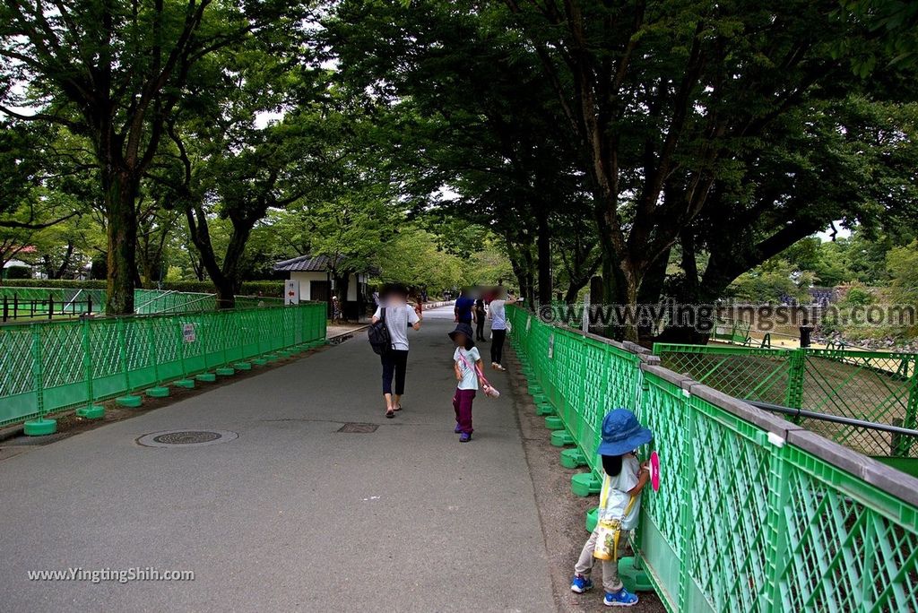 YTS_YTS_20180815_日本九州熊本城／加藤神社／加藤清正Japan Kyushu Kumamoto Kumamoto Castle／Kato Shrine047_3A5A4990.jpg