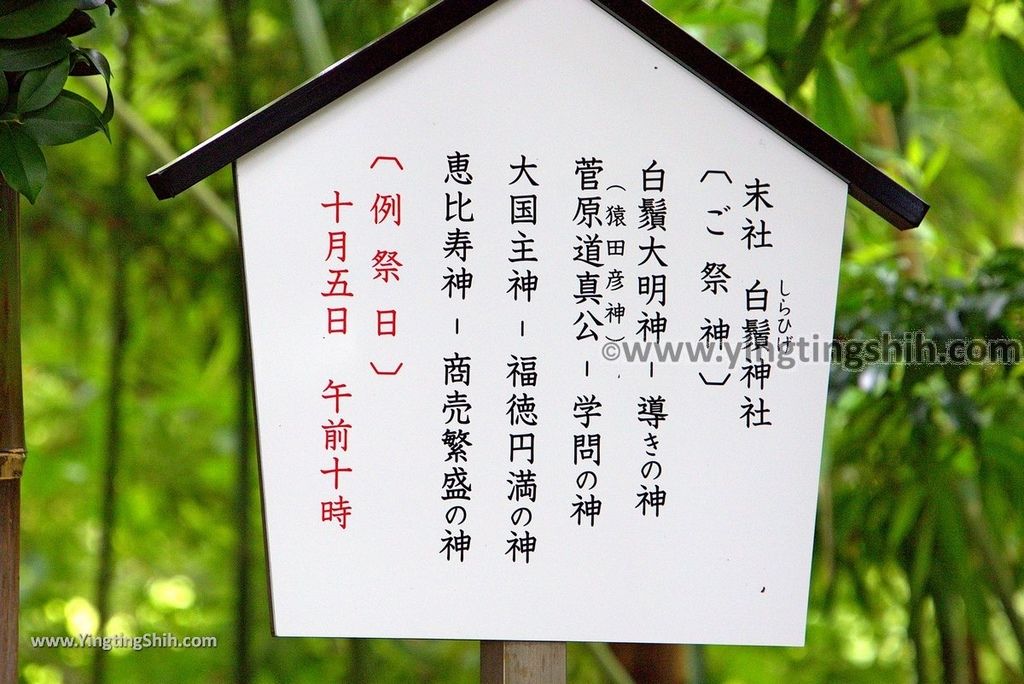 YTS_YTS_20180815_日本九州熊本城／加藤神社／加藤清正Japan Kyushu Kumamoto Kumamoto Castle／Kato Shrine090_3A5A5288.jpg