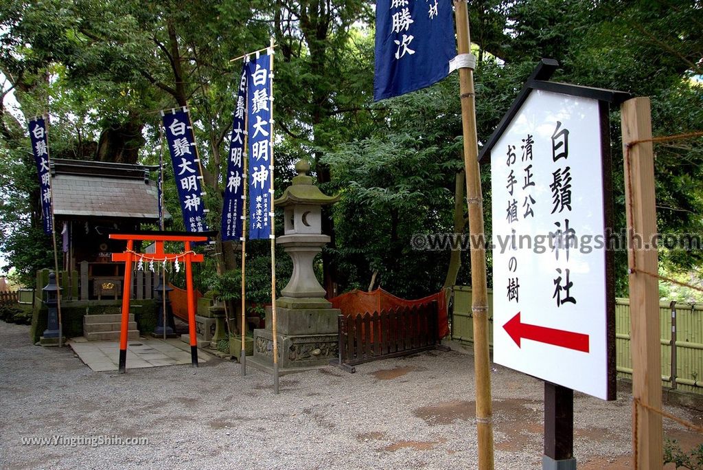 YTS_YTS_20180815_日本九州熊本城／加藤神社／加藤清正Japan Kyushu Kumamoto Kumamoto Castle／Kato Shrine088_3A5A5283.jpg