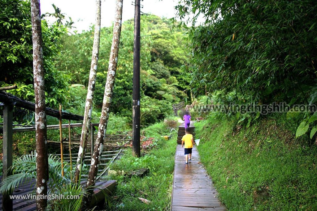 YTS_YTS_20190518_新北雙溪明天宮／蝙蝠山展望亭New Taipei Shuangxi Bianfushan Lookout019_539A1930.jpg